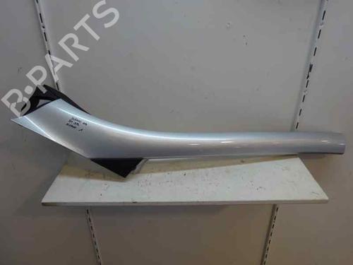 Other RENAULT SCÉNIC III (JZ0/1_) 1.9 dCi (JZ0J, JZ1J, JZ1K, JZ1S) GRIS | METALIZADO | 2009 | 2