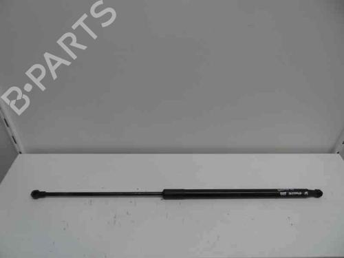 Used Hood lift support DACIA DUSTER (HS_) 1.5 dCi (HSAJ) (90 hp) 14172541