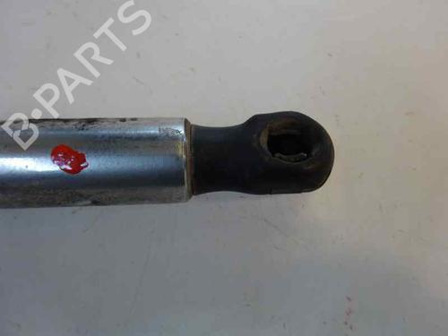 Tailgate lift support VW PASSAT B5.5 (3B3) 1.9 TDI | BP14172752C138 