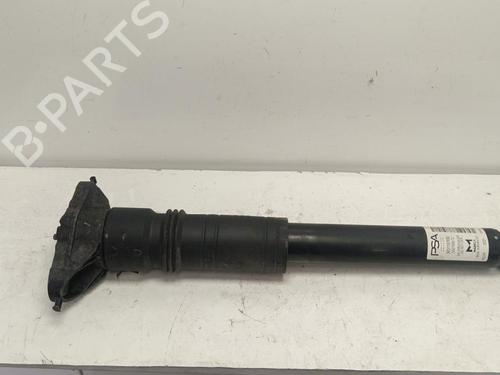 Used Left rear shock absorber Left rear shock absorber 36693410 36693410