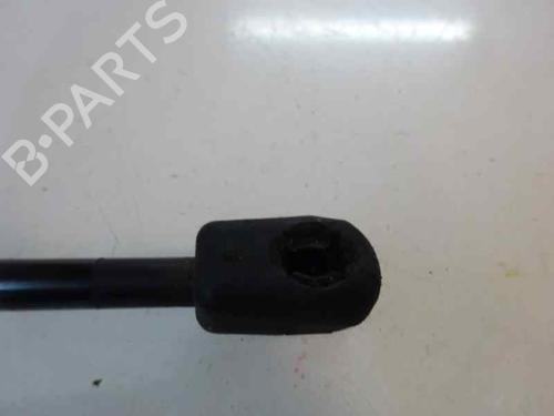 Hood lift support RENAULT SCÉNIC III (JZ0/1_) 1.9 dCi (JZ0J, JZ1J, JZ1K, JZ1S) | BP14173024C139 