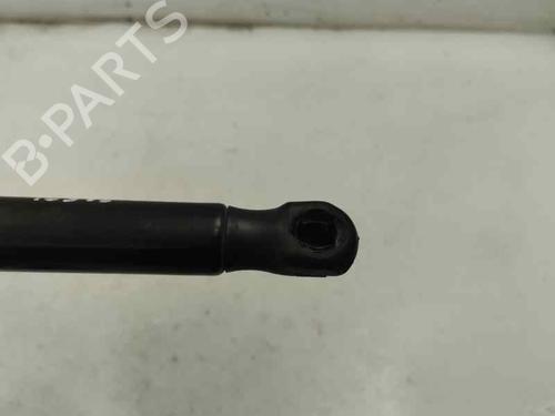 Tailgate lift support SKODA FABIA III (NJ3) 1.0 | BP29134570C138