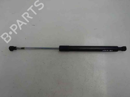 Gasdemper motorkap RENAULT CLIO IV (BH_) 1.5 dCi 90 (90 hp) 14169661