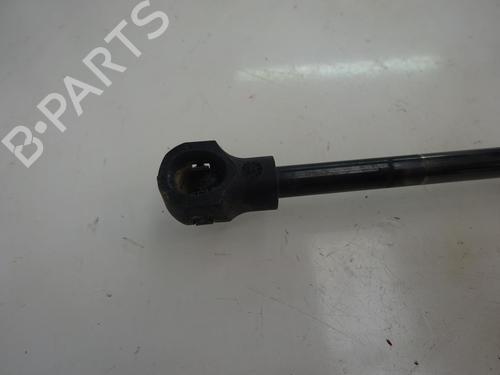 Tailgate lift support DACIA SANDERO II 1.0 TCe 100 (B8ML) | BP14170607C138