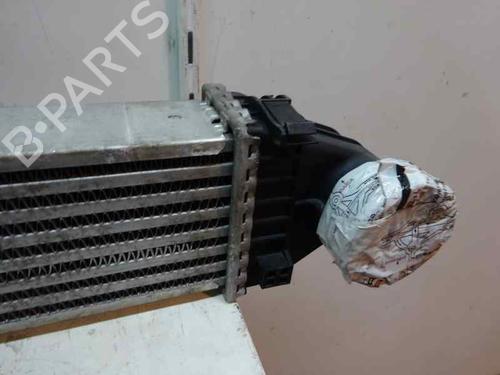 Intercooler MERCEDES-BENZ A-CLASS (W169) A 180 CDI (169.007, 169.307) (109 hp) 4746989