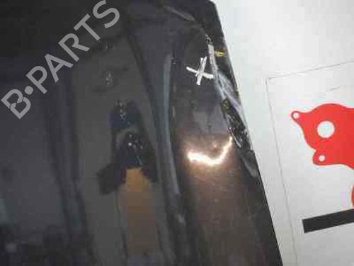 Used Hood RENAULT MEGANE II Saloon (LM0/1_) 1.9 dCi (LM0G, LM1G, LM2C) (120 hp) 195486