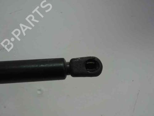 Used Hood lift support SEAT TOLEDO II (1M2) 1.9 TDI (110 hp) 14169656