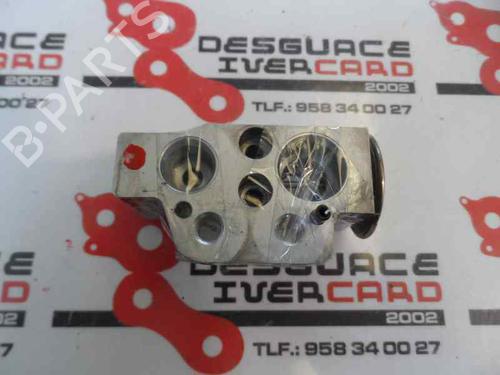 Elektronische sonde SEAT LEON (1P1) 1.9 TDI (105 hp) 14172230