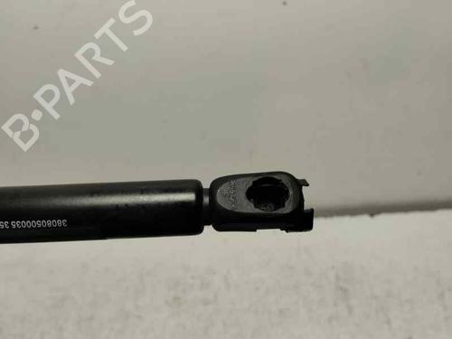 Hood lift support AUDI A3 (8L1)  | BP22898694C139 