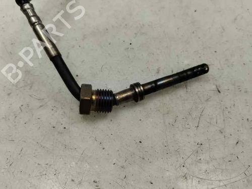 Elektronische sonde SEAT IBIZA IV (6J5, 6P1) 1.6 TDI (90 hp) 28023304