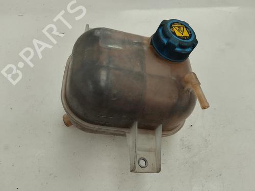 Expansion tank FIAT DOBLO Cargo (263_) 1.3 D Multijet | BP12989684C120