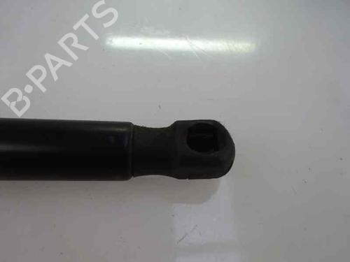 Tailgate lift support FORD FIESTA VI (CB1, CCN)  | BP14170245C138 