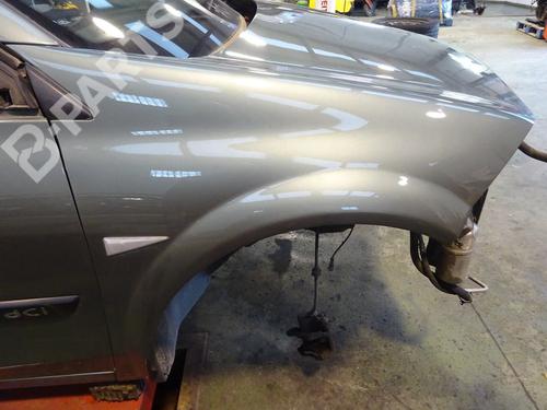 Used Right front fenders RENAULT MEGANE II (BM0/1_, CM0/1_) [2001-2012]  11697720