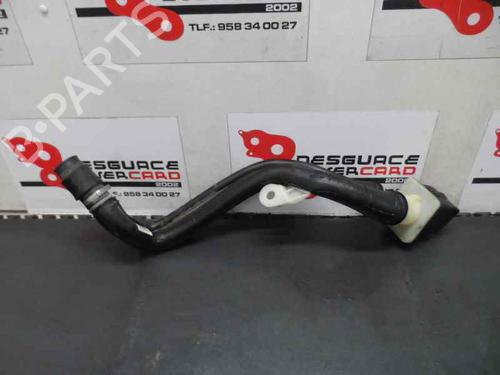 Used Pipe RENAULT MEGANE III Hatchback (BZ0/1_, B3_) 1.5 dCi (86 hp) 14171750