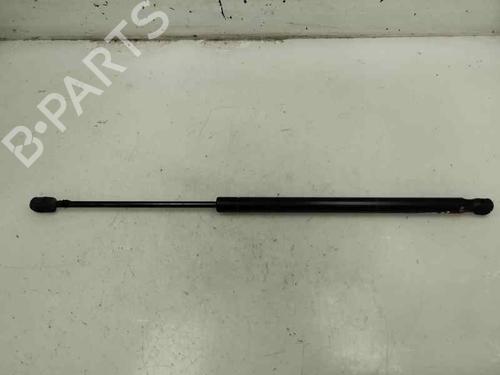 Used Tailgate lift support RENAULT SCÉNIC II (JM0/1_) [2003-2010]  23531207