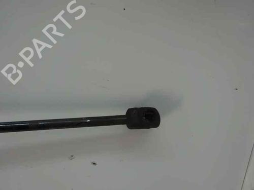 Hood lift support VW GOLF VII (5G1, BQ1, BE1, BE2)  | BP14170406C139 