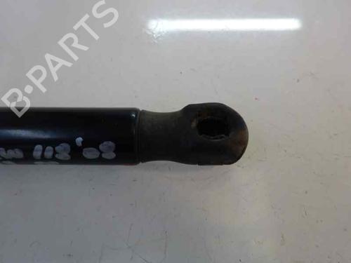 Tailgate lift support BMW 1 (E87) 118 d | BP14172950C138 