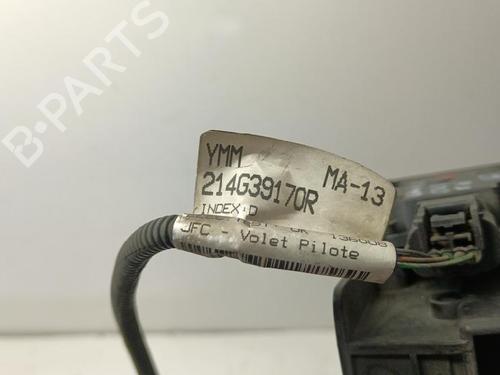 Grill RENAULT MEGANE IV Hatchback (B9A/M/N_) 1.2 TCe 130 (B9MR) | BP35745055C40 - Image 4