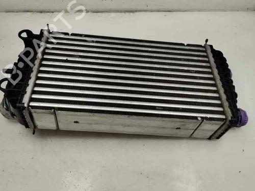 Used Intercooler OPEL MOKKA 1.2 (76) (131 hp) 21395295