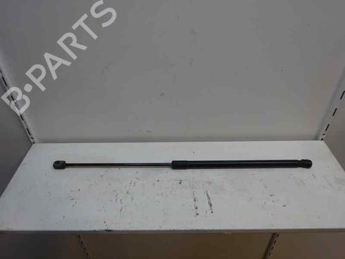 Used Tailgate lift support OPEL CORSA D (S07) 1.3 CDTI (L08, L68) (75 hp) 14172888