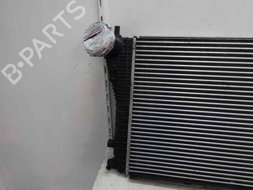 Intercooler SKODA OCTAVIA II (1Z3) 1.9 TDI (105 hp) 4962502