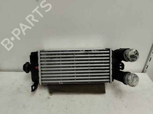 BP17244134M30 | Intercooler FORD FIESTA VII (HJ, HF) 1.5 TDCi BP17244134M30