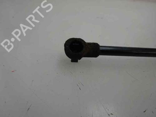 Hood lift support VW CADDY III Box Body/MPV (2KA, 2KH, 2CA, 2CH) 1.9 TDI | BP14169967C139 