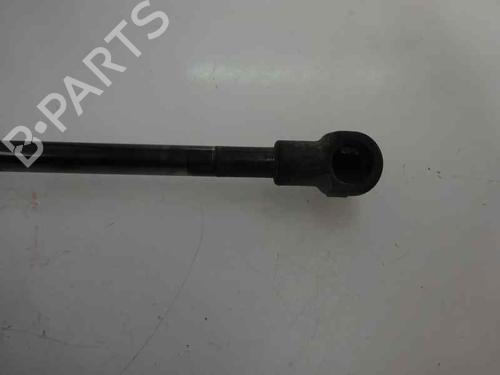 Tailgate lift support NISSAN QASHQAI / QASHQAI +2 I (J10, NJ10, JJ10E) 1.5 dCi | BP14169216C138 