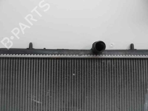 Used Water radiator Water radiator PEUGEOT 207 (WA_, WC_) 1.6 HDi (90 hp) 359097 359097