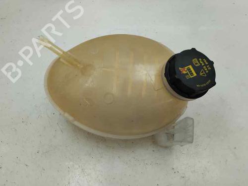 Used Expansion tank FORD FIESTA VII (HJ, HF) 1.0 EcoBoost (101 hp) 30540924