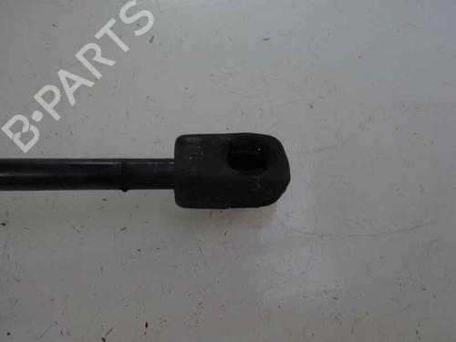 Tailgate lift support FORD FIESTA VI (CB1, CCN)  | BP14170245C138 
