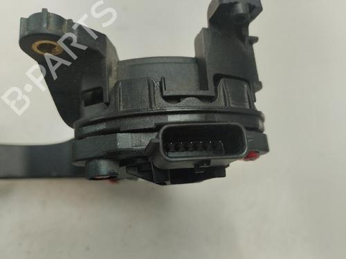 Used Pedal DACIA SANDERO II TCe 90 (B8M1, B8MA, B8AC) (90 hp) 17789380