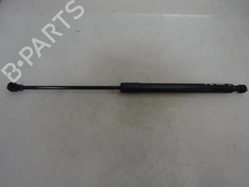 Tailgate lift support DACIA SANDERO II 1.0 TCe 100 (B8ML) 2016 | 1