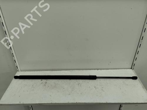Used Tailgate lift support FORD KUGA II (DM2) 1.5 EcoBoost (120 hp) 14171120