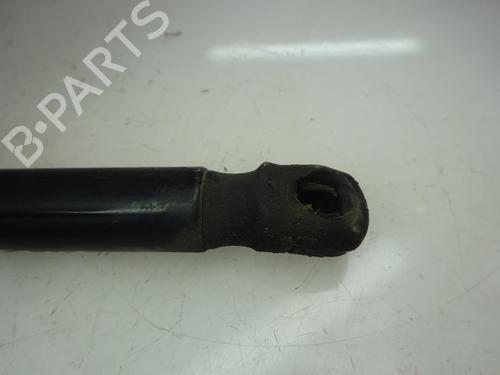 Hood lift support VW CADDY III Box Body/MPV (2KA, 2KH, 2CA, 2CH) 1.6 TDI | BP14170743C139 