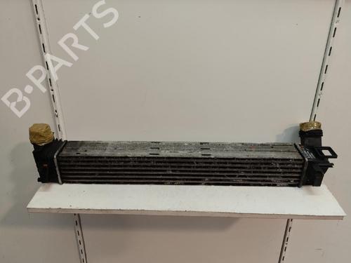 Intercooler RENAULT GRAND SCÉNIC III (JZ0/1_) 1.5 dCi (JZ09, JZ0D, JZ10, JZ14, JZ1G, JZ29, JZ2C) | BP16174176M30