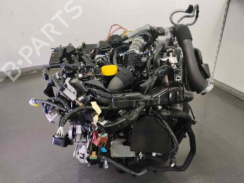 Motor RENAULT CLIO V (B7_) 1.5 Blue dCi 100 (B7AD) (101 hp) 26587588