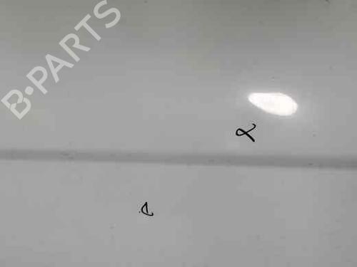 Dør højre fortil RENAULT TRAFIC II Van (FL) 1.9 dCi 100 (FL0C, FL0K, FL0B) (101 hp) 25921292