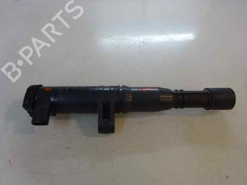 Tændspole RENAULT LAGUNA II (BG0/1_) 1.6 16V (BG0A, BG0L) (107 hp) 2596968