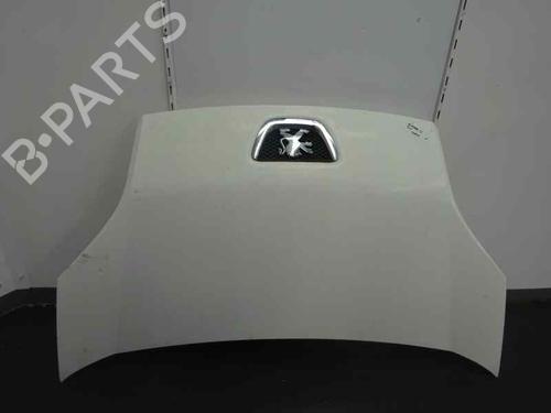 hood-peugeot-bipper-tepee-13-hdi-80-2017-2008-9364761 main image