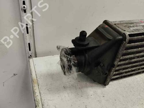 Intercooler FIAT DOBLO Bus (263_) 2.0 D Multijet (263AXF1B) | BP22639337M30 - Image 2