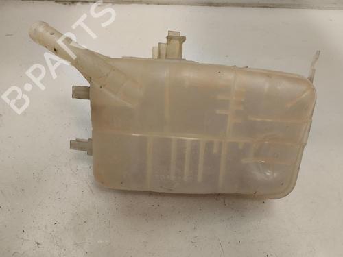 Ekpansionstank RENAULT GRAND SCÉNIC III (JZ0/1_) 2.0 dCi (JZ0L) (160 hp) 17759163