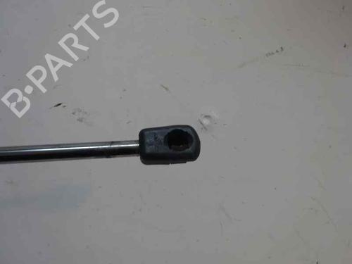 Tailgate lift support FORD FIESTA VI (CB1, CCN) 1.5 TDCi | BP14173651C138