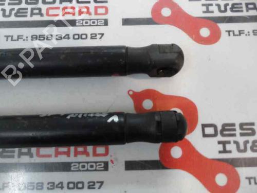 Tailgate lift support BMW 1 (E87)  | BP14172472C138 