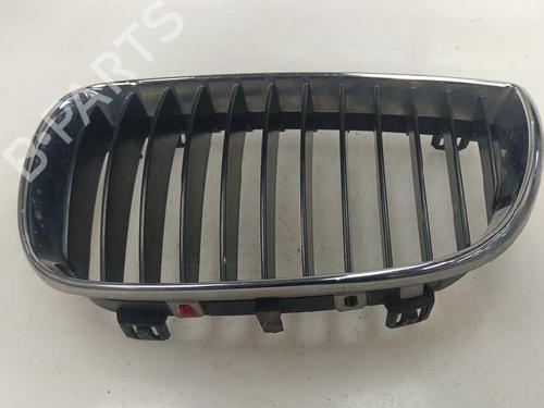 Used Grille Grille BMW 1 (E87) 120 i (150 hp) 40123754 40123754