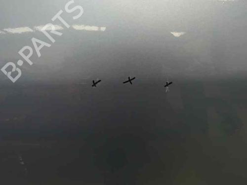 Porta posteriore sinistra FORD FOCUS II (DA_, HCP, DP) 1.6 TDCi (109 hp) 10064719