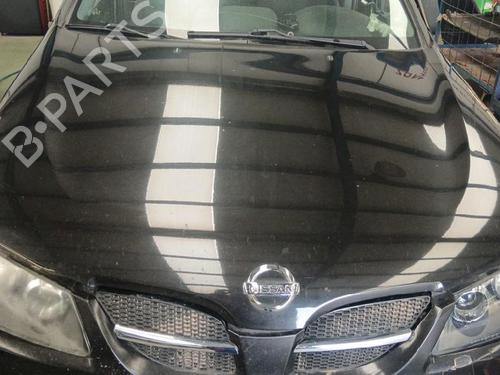 Motorhjelm Motorhjelm NISSAN ALMERA II Hatchback (N16) 2.2 dCi (112 hp) 39667445 39667445