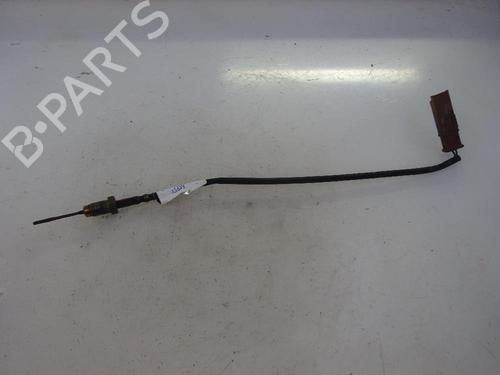 Used Electronic sensor Electronic sensor CITROËN C3 II (SC_) [2009-2026] 11106595 11106595