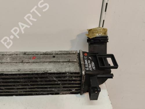 Intercooler RENAULT GRAND SCÉNIC III (JZ0/1_) 1.5 dCi (JZ09, JZ0D, JZ10, JZ14, JZ1G, JZ29, JZ2C) | BP16174176M30