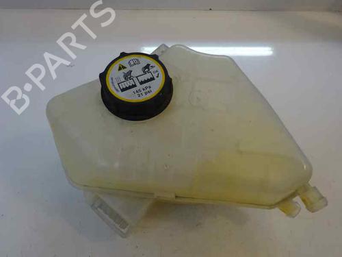 Used Expansion tank FORD FIESTA VI (CB1, CCN) 1.5 TDCi (75 hp) 2799756